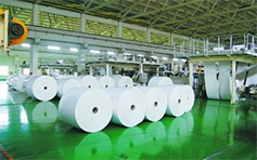 Papermaking industry